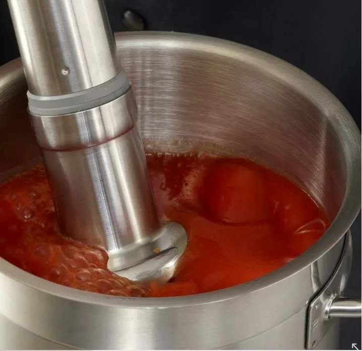 Robot Coupe Immersion Blender CMP 300 V.V - view 3